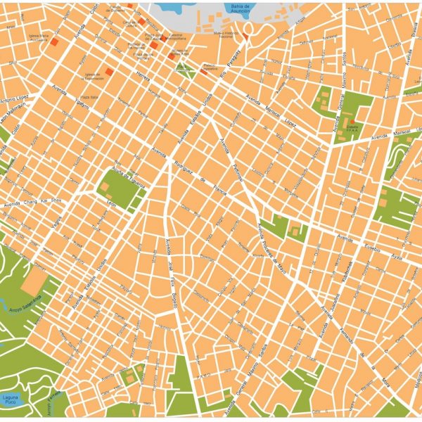 asuncion vector map