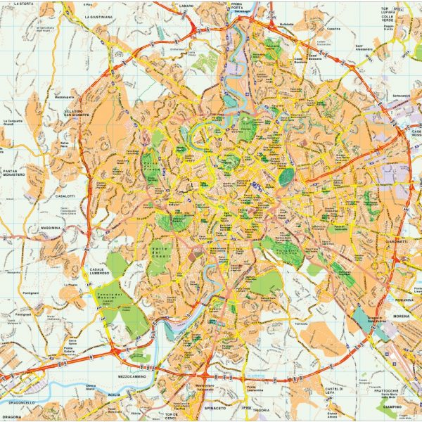 Roma map vector