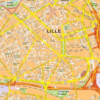 lille vector map