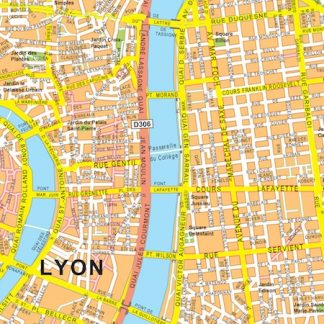 lyon vector map