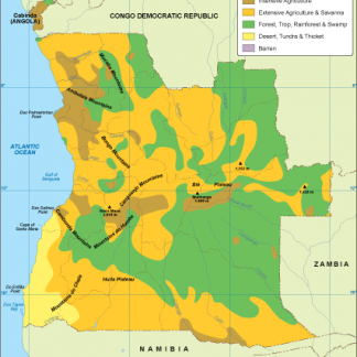 Angola vegetation map
