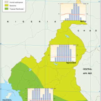 Cameroon climate map
