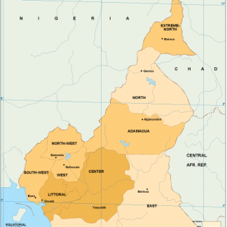 Cameroon economic map