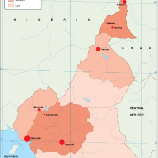Cameroon population map