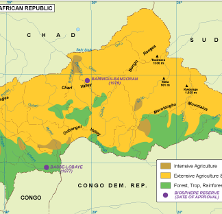 Central Afr Rep vegetation map