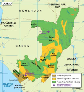 Congo vegetation map