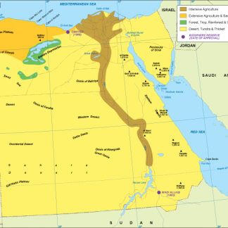 Egypt vegetation map