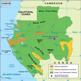 Gabon vegetation map