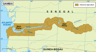 Gambia vegetation map