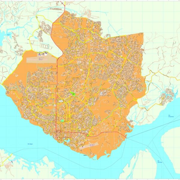 Manaus vector map