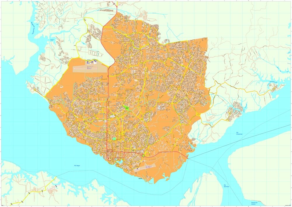 Manaus vector map