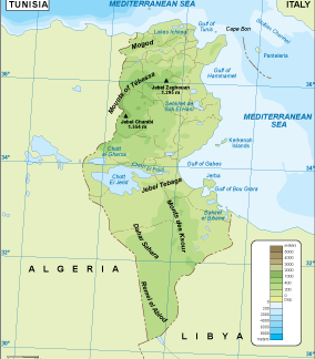 Tunisia physical map