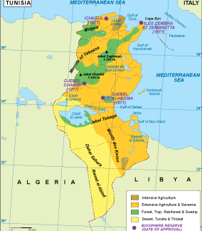 Tunisia vegetation map