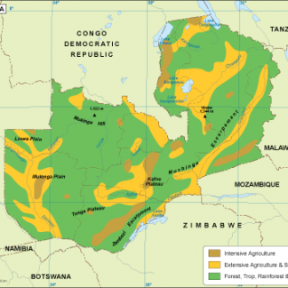 Zambia vegetation map