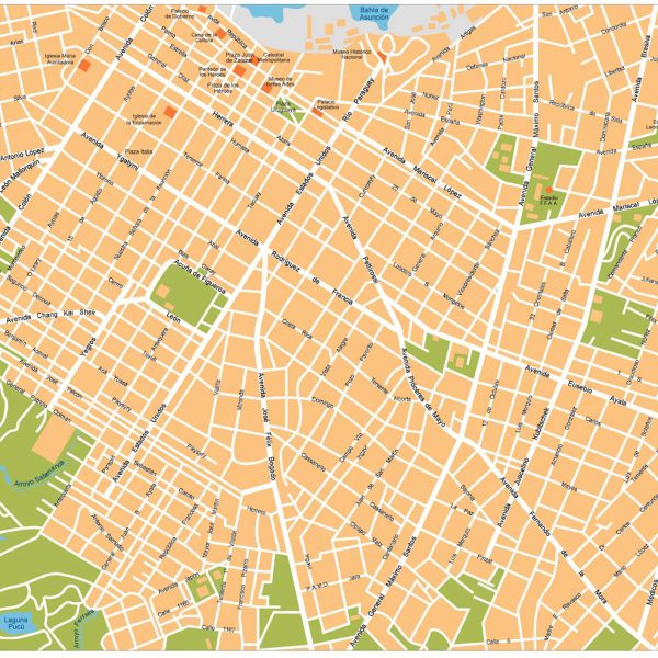 Asuncion Vector Map