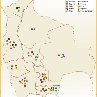 Bolivia mapa sector primario