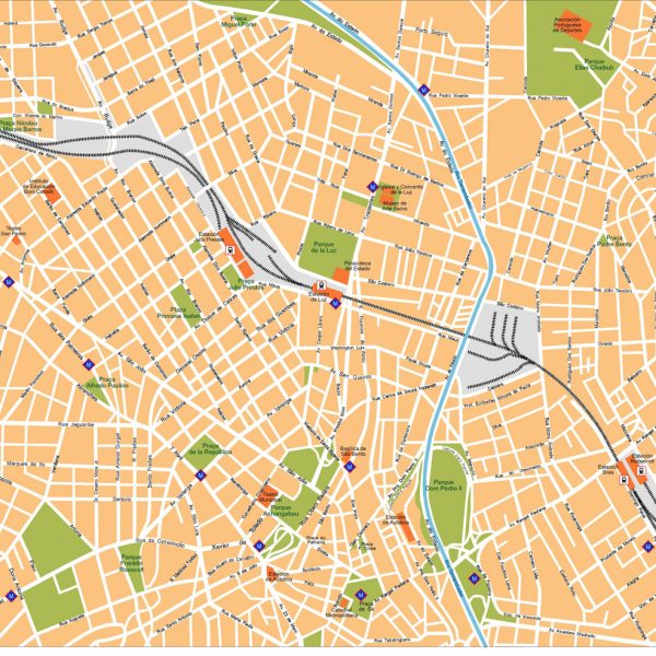 Sao Paulo Vector Map